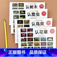 童眼看世界 升级版 全4本 [正版]认识花草树木昆虫鸟类童眼看世界全套4册彩色大图儿童3-6岁看图识物科普百科书小学生科