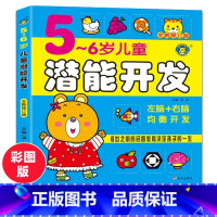 [正版]5-6岁儿童潜能开发(全新修订版)左右脑全脑大开发头脑潜能智力思维训练专注力培养书宝宝翻不烂幼儿婴幼儿早教启蒙