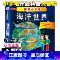 [正版]小手电大探秘 海洋世界 手电筒系列视觉大发现密林探险野兽王国百科全书3-6-12岁儿童科普百科图书籍小学生课