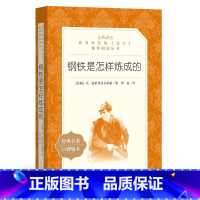 [正版] 钢铁是怎样炼成的 《语文》阅读丛书 初中原著 语文 人民文学出版社小学生初中生 书初二梅益