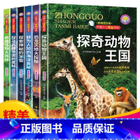 [正版]中国少儿探秘百科全套6册探奇动物王国海洋奥秘恐龙灭绝兵器奇趣植物大揭秘中国儿童的十万个为什么青少年百科全书小学