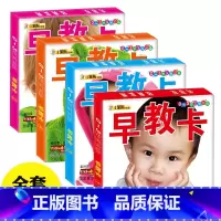 [正版]4盒彩色卡片婴儿早教卡 0-3岁宝宝识图卡片认水果动物卡片早教认知撕不烂幼儿童颜色小孩识字卡片启蒙书籍看图识物
