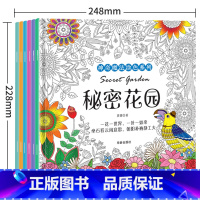 [正版]秘密花园 填色书成人减压孕妇胎教少女探索奇境的手绘涂色书奇幻森林神秘花园绘画涂鸦绘本童话梦境彩画册绘本