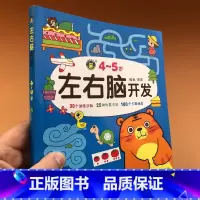 [正版]4-5岁宝宝左右脑开发书儿童记忆力迷宫书找不同专注力训练四-五周岁益智游戏左右脑全脑潜能智力开发幼儿早教数学逻
