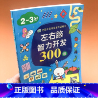 [正版]左右脑智力开发300题2-3岁全脑开发综合能力训练书幼儿早教启蒙益智图书推理判断能力训练逻辑思维能力小班班学前