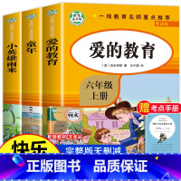 [正版]童年高尔基原著爱的教育六年级上册必读快乐读书吧小英雄雨来完整版快乐读书吧上册小学老师经典课外阅读书籍