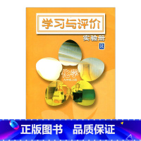 [正版]学习与评价实验册化学九年级上册 9上 配苏教版