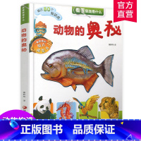 [正版]看看里面是什么-动物的奥秘 6-12岁少儿科普入门读物有趣胶片模型书 探索动物构造奥秘 江苏凤凰教育出版社
