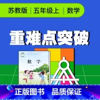 [正版]视频课程 苏教版五年级数学上册重难点突破