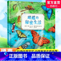 蝴蝶的秘密生活 [正版]蝴蝶的秘密生活 人文科普科学自然知识教育 儿童读物童书绘本 精装全彩大开本 译林出版社