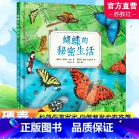 蝴蝶的秘密生活 [正版]蝴蝶的秘密生活 人文科普科学自然知识教育 儿童读物童书绘本 精装全彩大开本 译林出版社