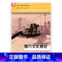 [正版]媒介文化通论/新闻传播学新视野丛书 媒介文化通论 陈龙