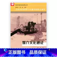 [正版]媒介文化通论/新闻传播学新视野丛书 媒介文化通论 陈龙