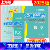 2025高考一模 数学[试卷+答案] 高中三年级 [正版]2025-2024年版领先一步 数学 上海高考数学一模卷 试卷