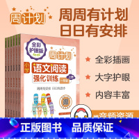 6本套装 小学语文阅读强化训练 1-3年级上下 小学通用 [正版]周计划小学语文基础知识强化训练+小学语文阅读强化训练