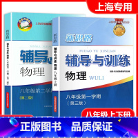 八年级上下册 物理 [正版]全套2册 新思路辅导与训练 物理 初中八年级第一二学期/8年级上下(下册是老版 )上海科学技