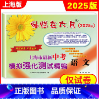 灿烂在六月 中考语文 上海 [正版]2025新版 灿烂在六月 中考语文 仅试卷 上海市新中考模拟强化测试精编 初一初二初