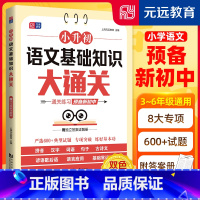 元远学堂 小升初 语文基础知识大通关 小学语文总复习 三四五六年级语文专项训练 通关练习 预备新初中 元远 [正版]元远