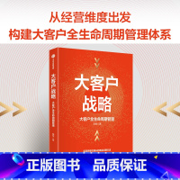 [正版]大客户战略 大客户全生命周期管理 实现突破性增长的商业经营方法 陈军著