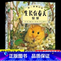 第一眼看四季(共4册) [正版]全套4册第一眼看四季 春夏秋冬四季的变化儿童绘本 人民邮电出版社