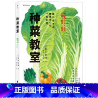 [正版] 种菜教室 彩色插图园艺家庭菜园种植生活类书籍