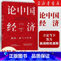 [正版]论中国经济 挑战底气与后劲 林毅夫 林毅夫解读中国经济 分析“十四五”与“双循环”出版社经济理论