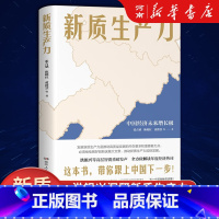 [正版]新质生产力 中国经济未来增长极 张占斌陈晓红著