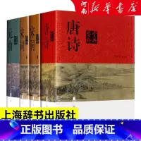 唐诗鉴赏辞典+宋词鉴赏辞典+元曲鉴赏辞典 [正版]中国文学鉴赏辞典新一版 唐诗宋词元曲鉴赏辞典全套共4册 图书籍 经典