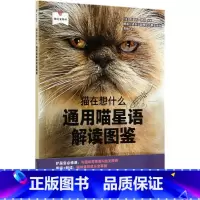 [正版]猫在想什么(通用喵星语解读图鉴)/我的宠物书