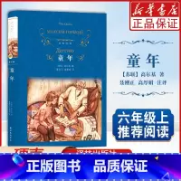 [正版]经典译林:童年精)马克西姆·高尔基著聂刚正/高厚娟译译林出版社