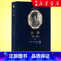 白痴(精) [正版]白痴 陀思妥耶夫斯基 著 耿济之 译 世界文学名著外国文学小说书籍书店 书店 春风文艺出版社