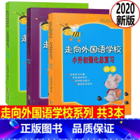 [正版]共3本 2020 走向外国语学校 小升初强化总复习 语文数学英语 培养综合能力提高应试技巧外国语学校入学测试升