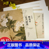 花鸟篇5册 [正版]湖山画谱 恽寿平花鸟画谱 单片散装/册页立轴兼有/散页盒装高清还原/可临摹鉴赏装饰收藏 恽寿平花鸟画