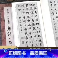 智永千字文楷书集字合集5册 [正版]旗舰智永千字文集字合集 唐诗+宋词100首+春联对联120幅+古文名篇名言 毛笔书法
