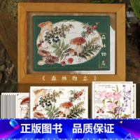 [正版]森林物志 吉积原创植物花卉风景插画 14张日番美绘创意复古清新治愈插画作品明信片感受对大自然的热爱以及对悠然生