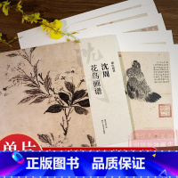 花鸟篇5册 [正版]湖山画谱 沈周花鸟画谱/山水画谱 单片散装/册页立轴兼有/散页盒装高清还原/可临摹鉴赏装饰收藏 沈周