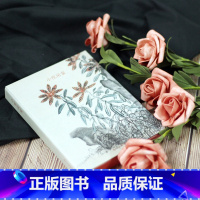 [正版]出类艺术明信片 小院闲窗 金农花鸟画册作品画集创意明信片生日贺卡片/国画明信片唯美中国风/古风古诗词明信片