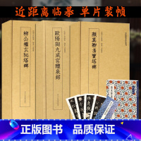 [正版]近距离临摹碑帖叢刊3册 柳公权玄秘塔碑/欧阳询九成宫醴泉铭/颜真卿多宝塔碑 楷书毛笔书法字帖 简体旁注译文注释