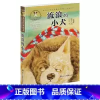 [正版]流浪的小犬名家经典画本 许廷旺大草原动物传奇小说六五四三年级小学生课外书必读儿童文学书/少儿图书7-12岁彩图