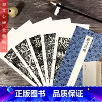 郑文公碑 [正版]郑文公碑 北魏楷书代表作高清原大碑帖字帖单片装帧便临摹字卡 附释文简体旁注 近距离临摹碑帖丛刊中国碑帖