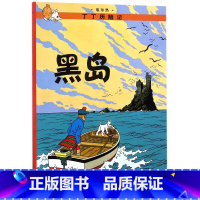 丁丁历险记:大16开 黑岛 [正版]丁丁历险记漫画全套22册 彩图16开大开本 埃尔热 丁丁在刚果 月球探险6-9-10