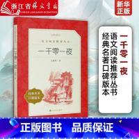 [正版]一千零一夜经典名著口碑版本语文阅读丛书 人民文学出版社 外国儿童文学 9787020137473 六七八九年级