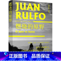 [正版]燃烧的原野 精装版 鲁尔福三部曲 墨西哥胡安·鲁尔福 译林出版社 外国文学-各国文学 978754478425