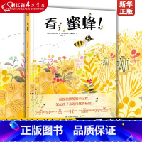 单本全册 [正版]看,蜜蜂! (美)柯尔丝滕·霍尔 生动展现蜜蜂酿蜜全过程!架起孩子亲近自然的桥梁!绘本/图画书/少儿动