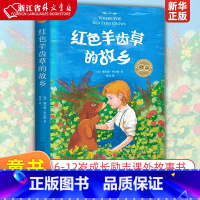 [正版]红色羊齿草的故乡 美威尔逊·罗尔斯 新星出版社 外国儿童文学 6-9-12岁少儿童成长励志课外故事书世界经典外