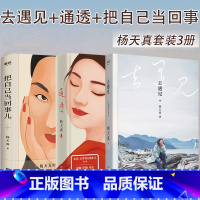 全3册 去遇见+把自己当回事儿+通透 [正版]去遇见 杨天真的第一本散文随笔集 把自己当回事儿 通透 对自我内在的梳理