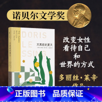 [正版]天黑前的夏天 诺贝尔文学奖得主莱辛作品伍尔夫之后又一女作家英国现代长篇小说作品书籍豆瓣高分译林出版社