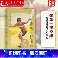 [正版] 像鹰一样滑翔 曹文轩著 中文分级阅读六年级 儿童文学 二三四五六年级课外书常读经典书目儿童文学读物故事绘本