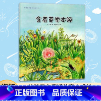 [正版]3本含羞草学本领 苏梅自然童话绘本系列 儿童书籍0-3-6岁幼儿科普百科全书 宝宝早教益智启蒙认知书 睡前故事