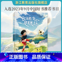 云端有个足球场 [正版]云端有个足球场 许廷旺著 8-10-12小学生一至四年级青少年课外阅读 中国当代儿童文学成长励文